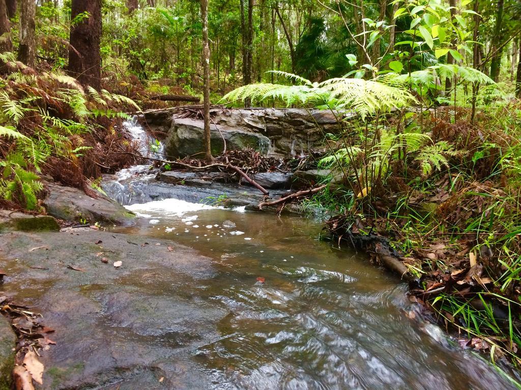 Noosa Hinterland Retreat Apartment Tinbeerwah ภายนอก รูปภาพ